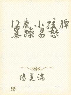 12岁小孩脾气暴躁易怒