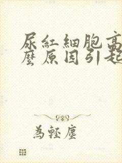 尿红细胞高是什么原因引起的