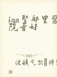 iga肾哪里医院看好