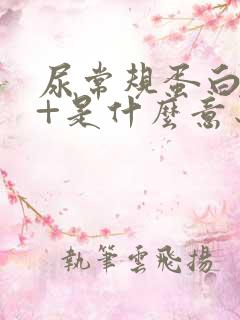 尿常规蛋白质4+是什么意思