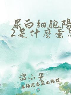 尿白细胞阳性+2是什么意思