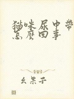 猫咪尿中带血丝怎么回事