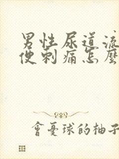 男性尿道流脓小便刺痛怎么治疗