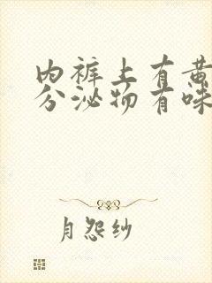 内裤上有黄黄的分泌物有味道是怎么回事