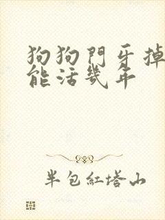 狗狗门牙掉了还能活几年