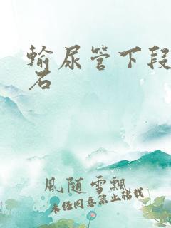 输尿管下段痛结石