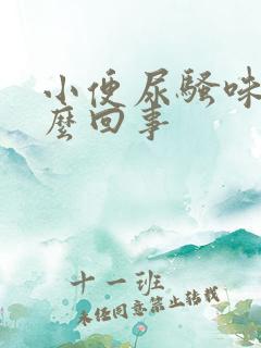 小便尿骚味大怎么回事