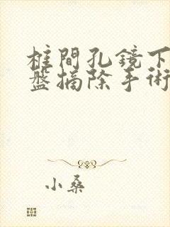 椎间孔镜下椎间盘摘除手术