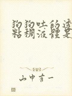 狗狗吐的透明色粘稠液体是什么原因