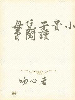 母凭子贵小说免费阅读