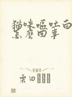 猫咪呕吐白沫子怎么回事