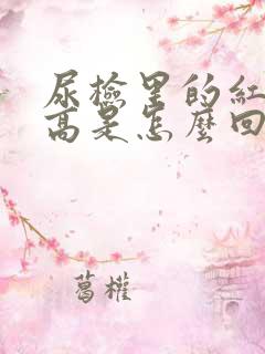 尿检里的红细胞高是怎么回事