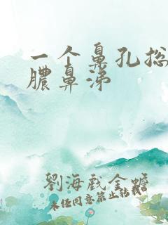 一个鼻孔总流黄脓鼻涕