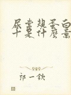 尿常规蛋白质2十是什么意思