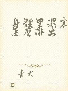 身体里湿寒太重怎么排出