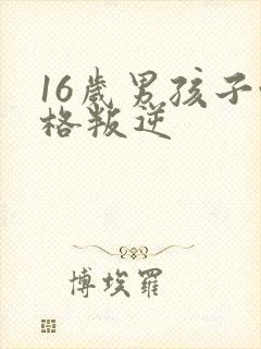 16岁男孩子性格叛逆