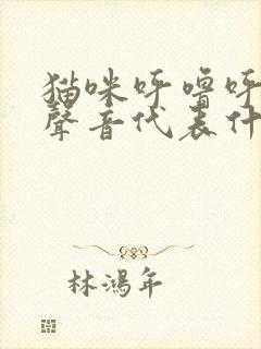 猫咪呼噜呼噜的声音代表什么