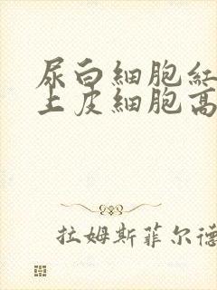 尿白细胞红细胞上皮细胞高