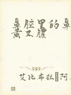 鼻腔里的鼻涕又黄又脓