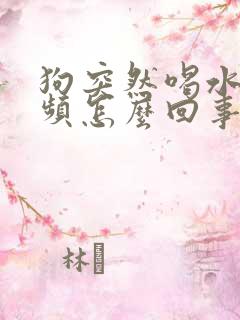 狗突然喝水多尿频怎么回事