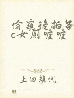 偷窥后拍各类wc女厕嘘嘘