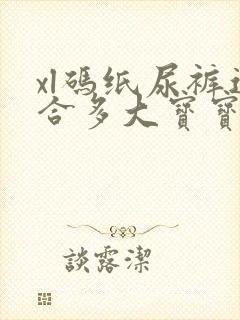 xl码纸尿裤适合多大宝宝