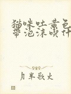 猫咪吐黄色液体带泡沫吃什么药