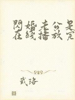 闪婚老公是总裁在线播放完整短剧