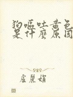 狗呕吐黄色液体是什么原因