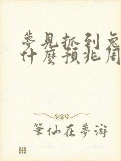 梦见抓到兔子是什么预兆周公解梦