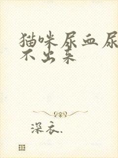 猫咪尿血尿频尿不出来