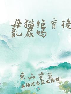 母猫绝育后还会乱尿吗