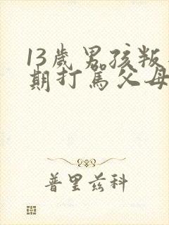 13岁男孩叛逆期打骂父母