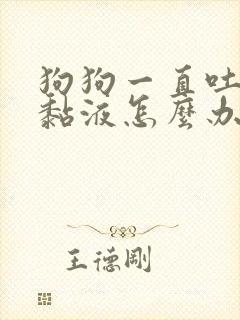 狗狗一直吐白沫黏液怎么办