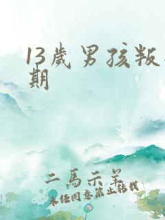 13岁男孩叛逆期