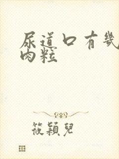 尿道口有几个小肉粒