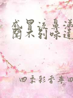 感冒流鼻涕鼻子闻不到味道是怎么回事