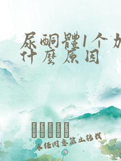 尿酮体1个加号什么原因