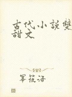 古代小说双男主甜文