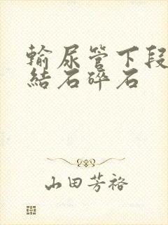 输尿管下段出现结石碎石