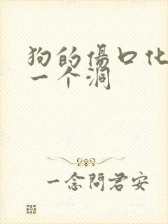 狗的伤口化脓成一个洞