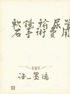 软镜 输尿管结石手术费用