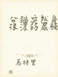 公猫突然身上有很浓的尿骚味