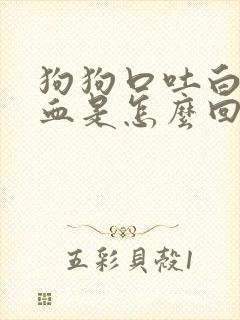 狗狗口吐白沫拉血是怎么回事