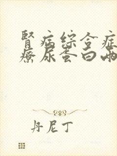 肾病综合症的治疗尿蛋白两个加号怎么治疗