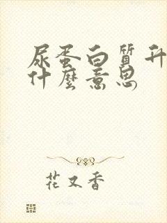 尿蛋白质升高是什么意思