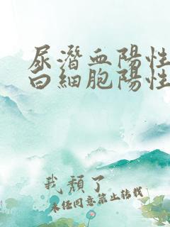 尿潜血阳性和尿白细胞阳性怎么回事