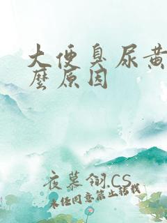 大便臭尿黄是什么原因