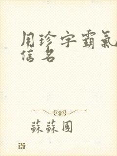 用珍字霸气选微信名