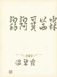 狗狗可以吃人吃的阿莫西林消炎药吗